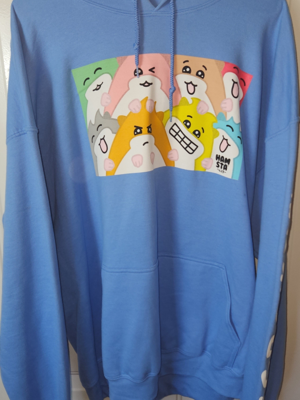Blue Hamster Graphic Hoodie